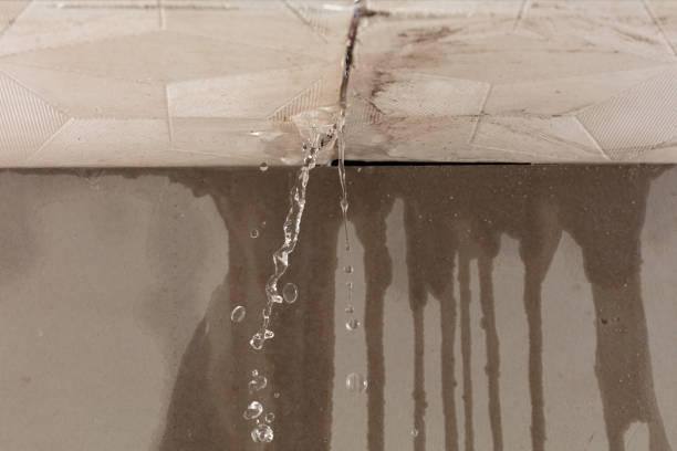 Professional Flood Damage Cleanup technician working in Mineral, WA